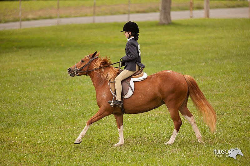 4H-1st-Show-11_2196.jpg