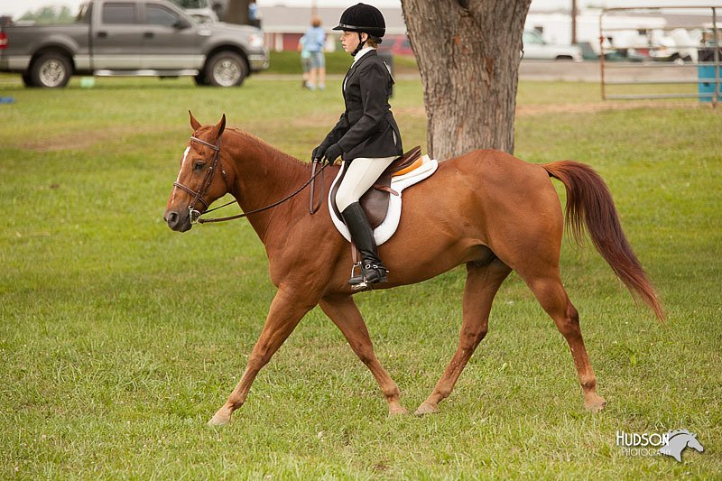 4H-1st-Show-11_2209.jpg