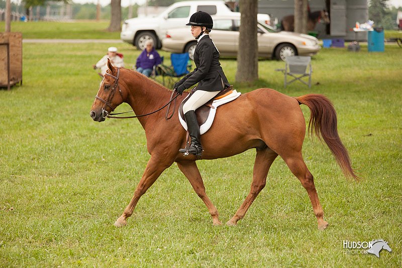 4H-1st-Show-11_2210.jpg
