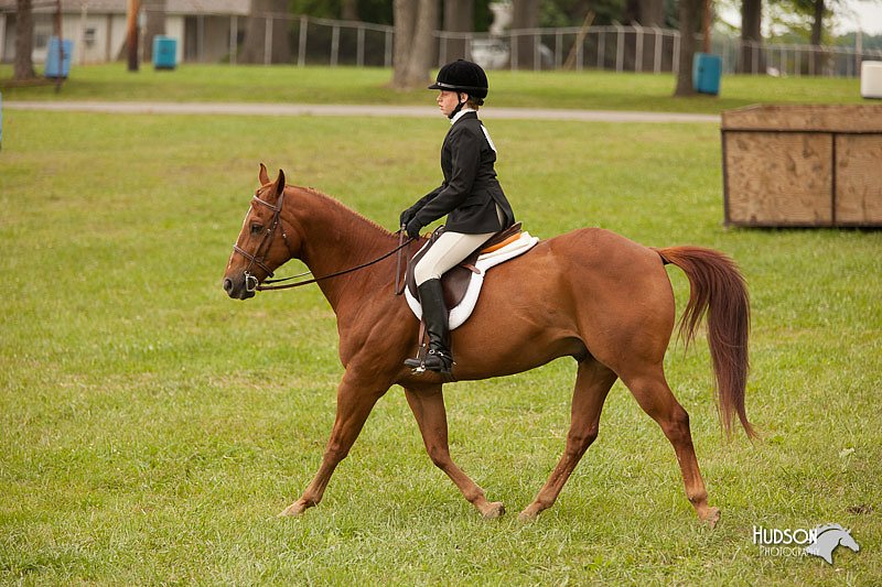4H-1st-Show-11_2211.jpg