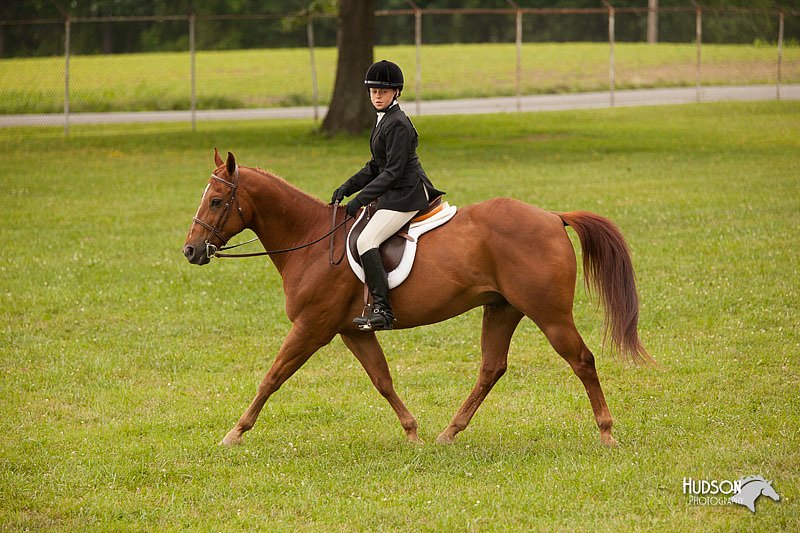 4H-1st-Show-11_2212.jpg