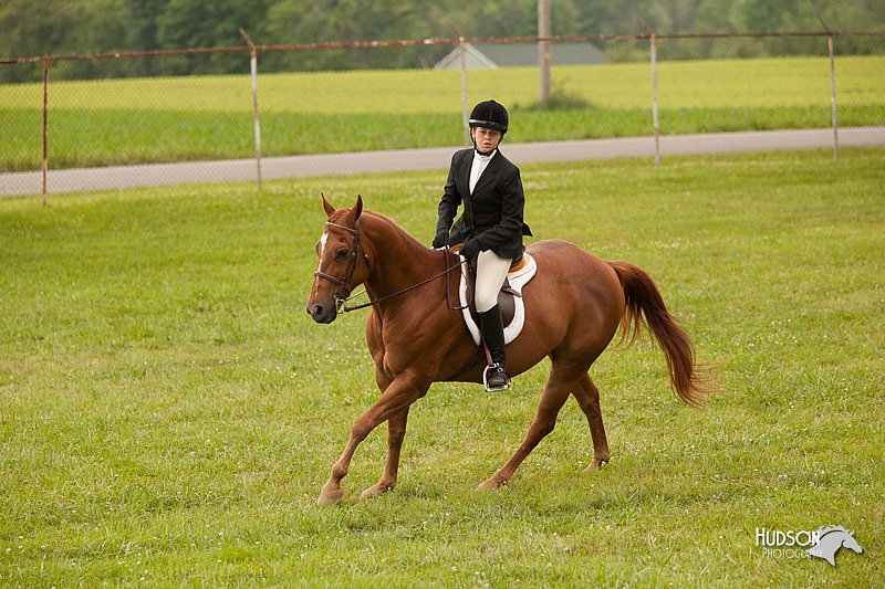 4H-1st-Show-11_2219.jpg
