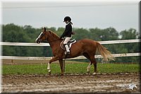 4H-1st-Show-11_1164.jpg