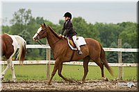 4H-1st-Show-11_1183.jpg