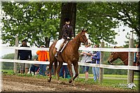 4H-1st-Show-11_1188.jpg