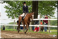 4H-1st-Show-11_1245.jpg