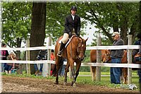 4H-1st-Show-11_1249.jpg