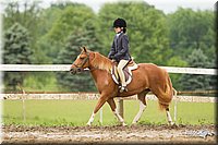 4H-1st-Show-11_1319.jpg