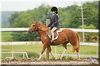 4H-1st-Show-11_1320.jpg