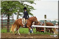4H-1st-Show-11_1327.jpg