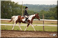 4H-1st-Show-11_1931.jpg