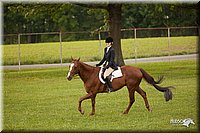 4H-1st-Show-11_2080.jpg