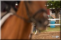 4H-1st-Show-11_2134.jpg