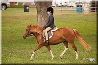 4H-1st-Show-11_2185.jpg