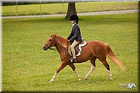 4H-1st-Show-11_2188.jpg