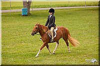 4H-1st-Show-11_2189.jpg