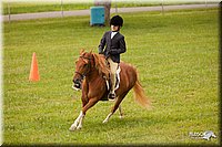 4H-1st-Show-11_2194.jpg