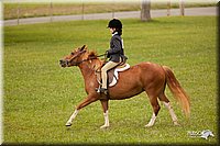 4H-1st-Show-11_2196.jpg