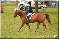 4H-1st-Show-11_2210.jpg