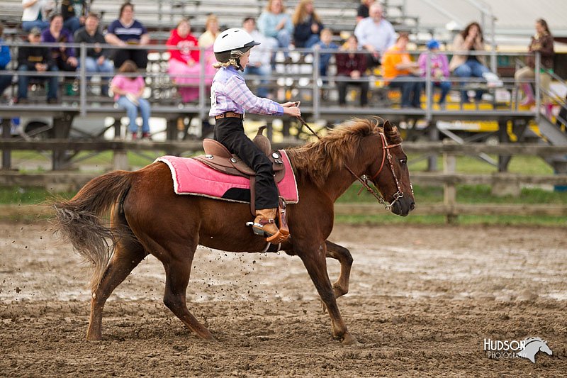 4H-1st-Show-11_0170.jpg