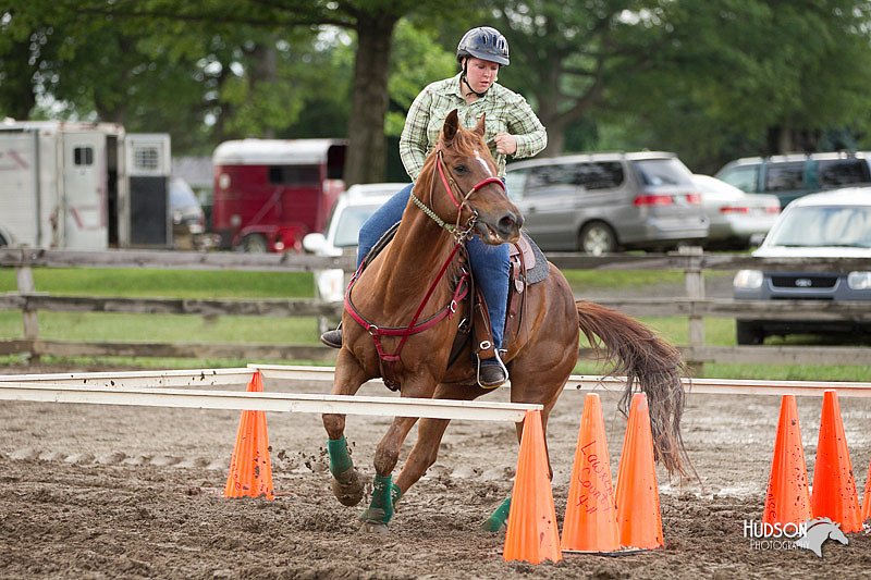 4H-1st-Show-11_0222.jpg