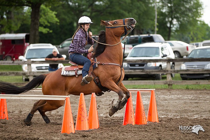 4H-1st-Show-11_0330.jpg