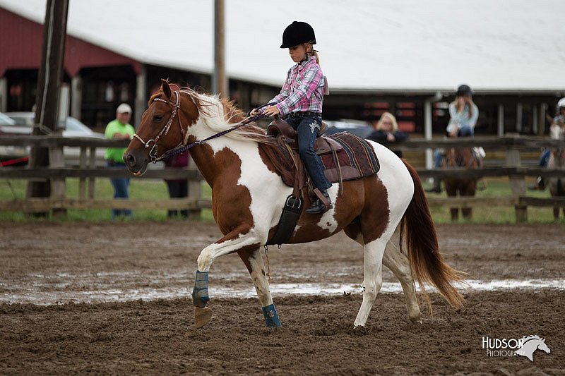 4H-1st-Show-11_0345.jpg