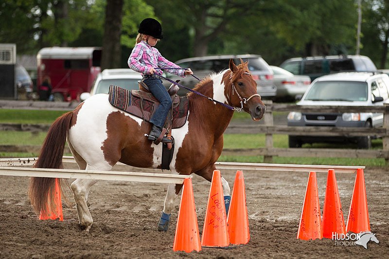 4H-1st-Show-11_0347.jpg