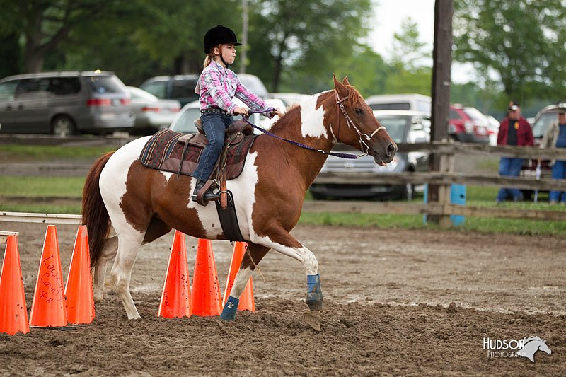 4H-1st-Show-11_0349.jpg