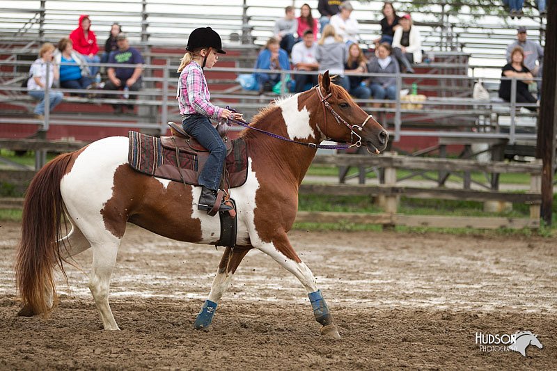 4H-1st-Show-11_0351.jpg