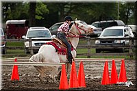 4H-1st-Show-11_0141.jpg