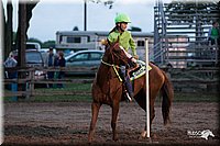 4H-1st-Show-11_0643.jpg
