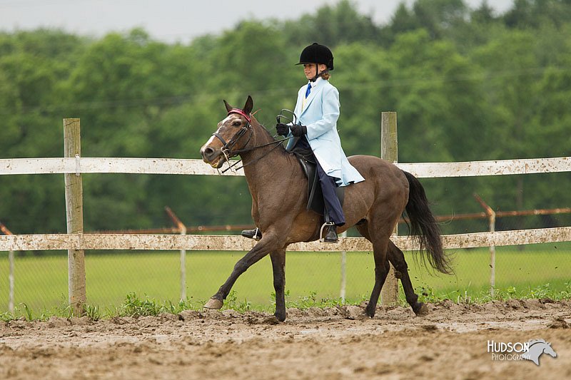 4H-1st-Show-11_1155.jpg