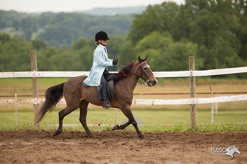 4H-1st-Show-11_1950.jpg