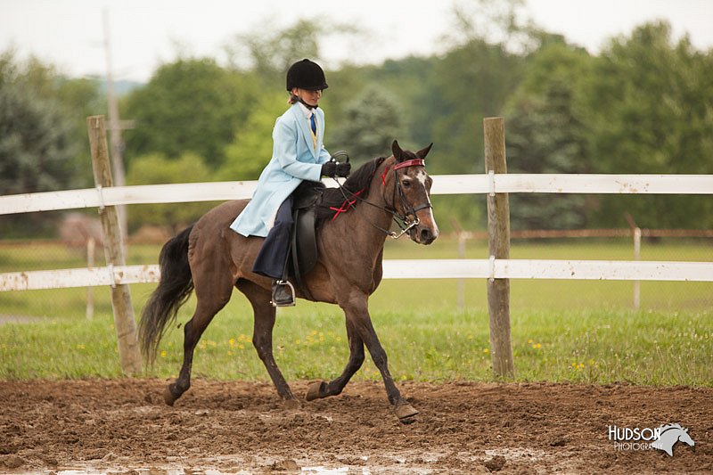 4H-1st-Show-11_1952.jpg