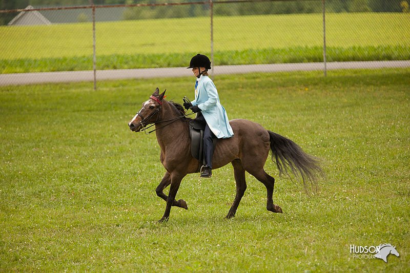 4H-1st-Show-11_1965.jpg