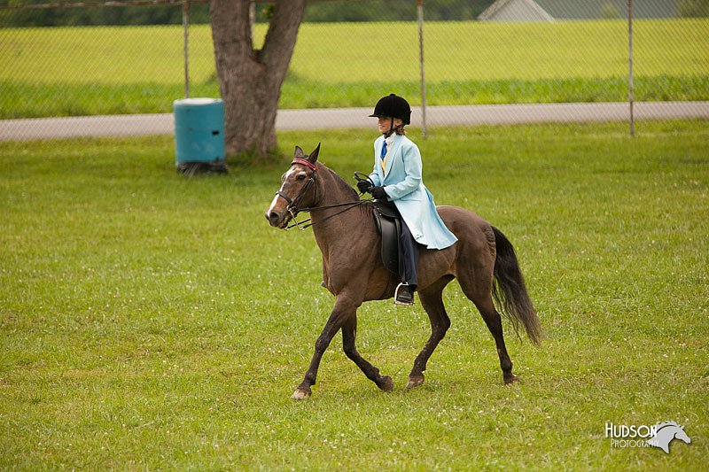 4H-1st-Show-11_1966.jpg
