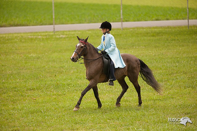 4H-1st-Show-11_1967.jpg