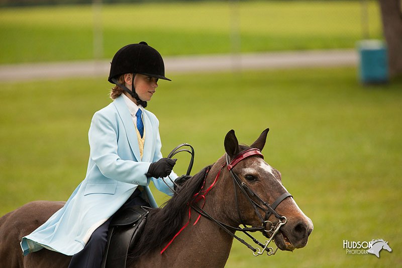 4H-1st-Show-11_1969.jpg