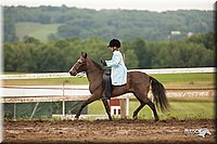 4H-1st-Show-11_1944.jpg