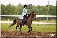 4H-1st-Show-11_1953.jpg