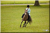 4H-1st-Show-11_1963.jpg