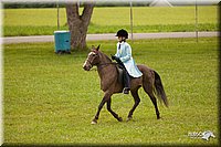 4H-1st-Show-11_1966.jpg