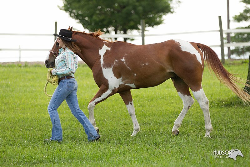 4H-1st-Show-11_0015.jpg