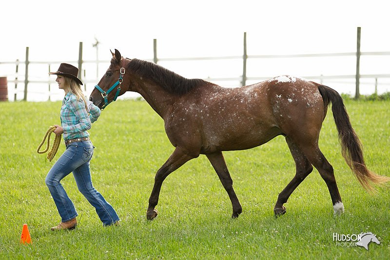 4H-1st-Show-11_0027.jpg