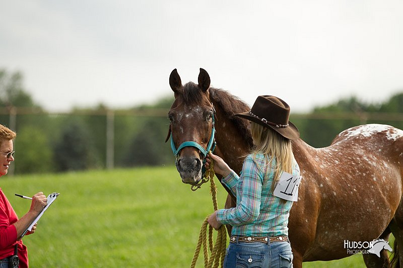 4H-1st-Show-11_0030.jpg