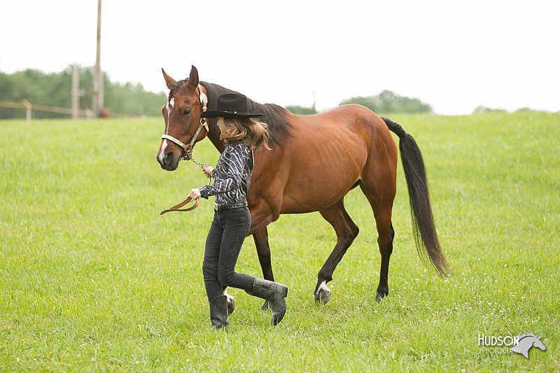 4H-1st-Show-11_0036.jpg