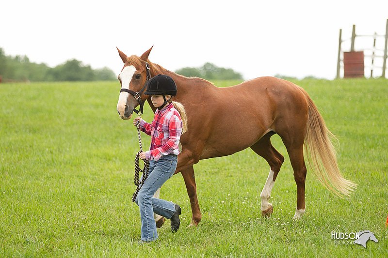 4H-1st-Show-11_0039.jpg