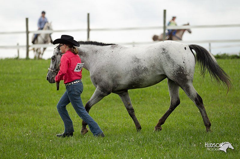 4H-1st-Show-11_0049.jpg