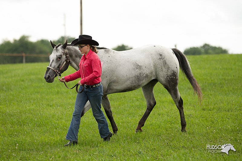 4H-1st-Show-11_0050.jpg